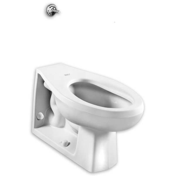 American Standard Neolo 1.6 GPF Toilet Bowl Wayfair